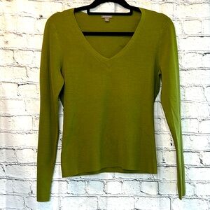 ⭐️ Ann Taylor long sleeve pullover v-neck sweater green silk blend women M